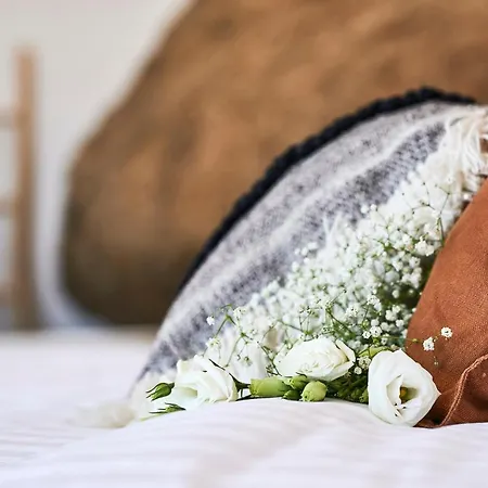 Teal Rock Mykonos 別荘