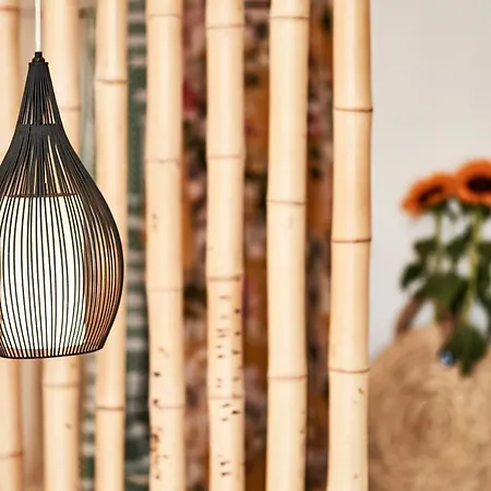 Teal Rock Mykonos 펜션