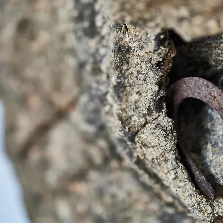 Teal Rock Mykonos * 아노 메라